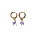 Oorbellen Birthstone Mini Goud Paars